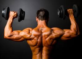 Weight Lifting Vs Cardio