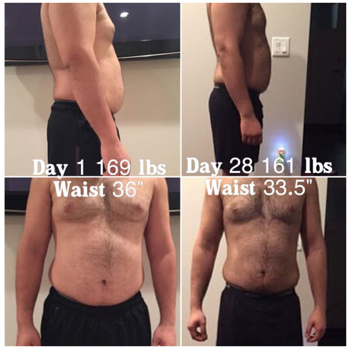 Lean Gains: Muscle Up for Men, Nutrition Plan